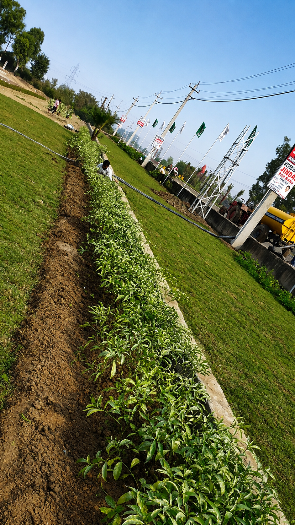 After landscape work by Total Green Solutions