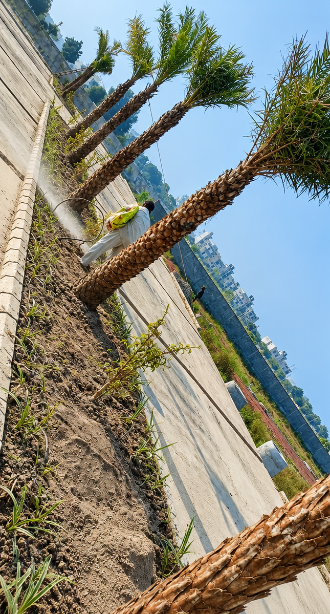 Green Grass Landscape Contractor in Sainik Farm