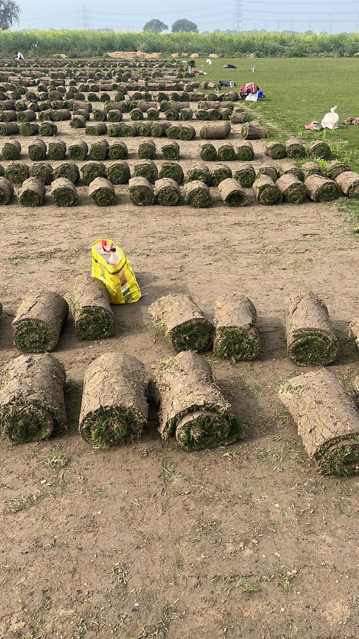 Quality Landscaping Sainik Farm